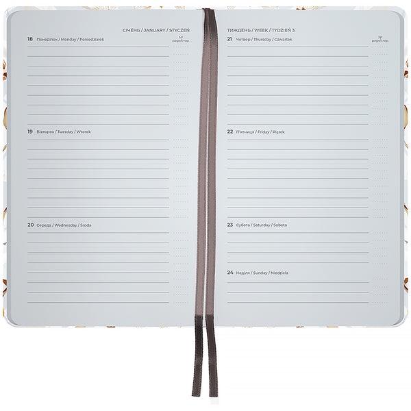 Еженедельник 2027 Axent Pocket Silky Smooth 8525-27-2-A-TR, 90*150